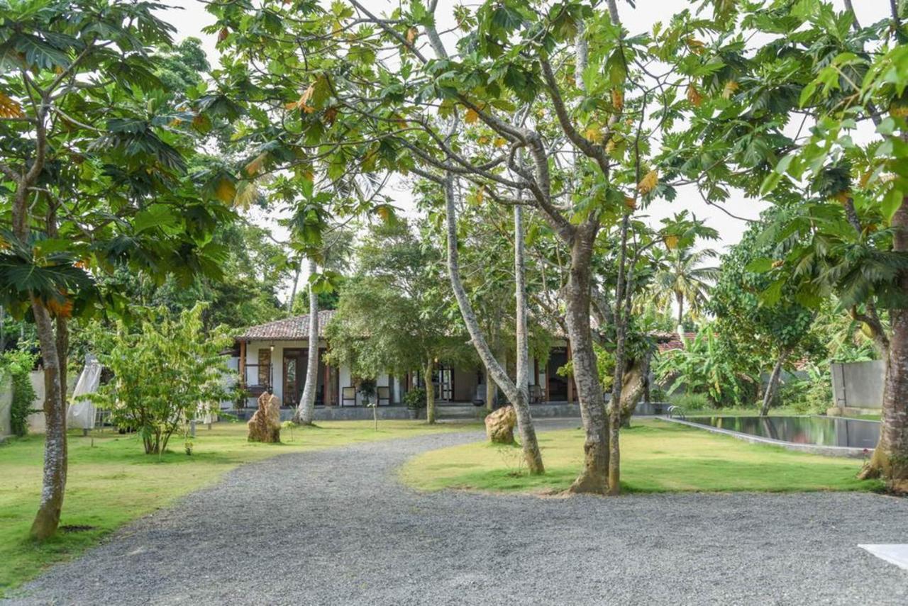 Antique Ceylon Villa آهانغاما المظهر الخارجي الصورة